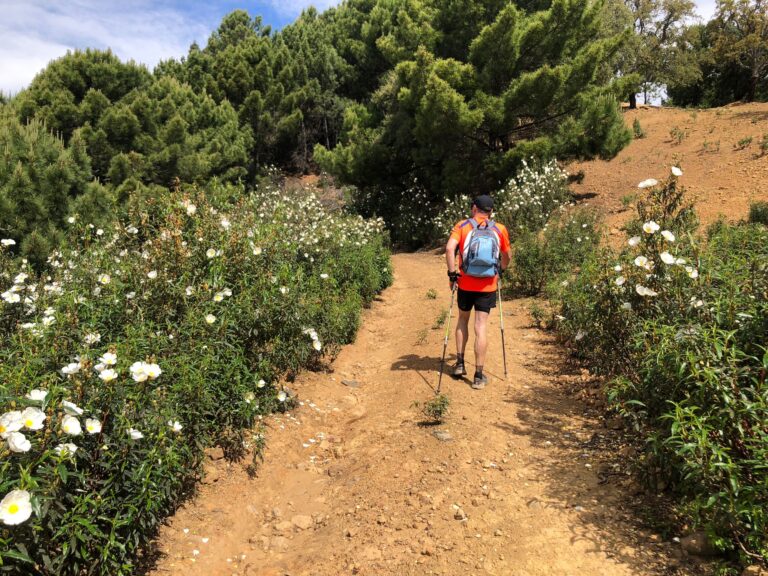 Marbella in Spring